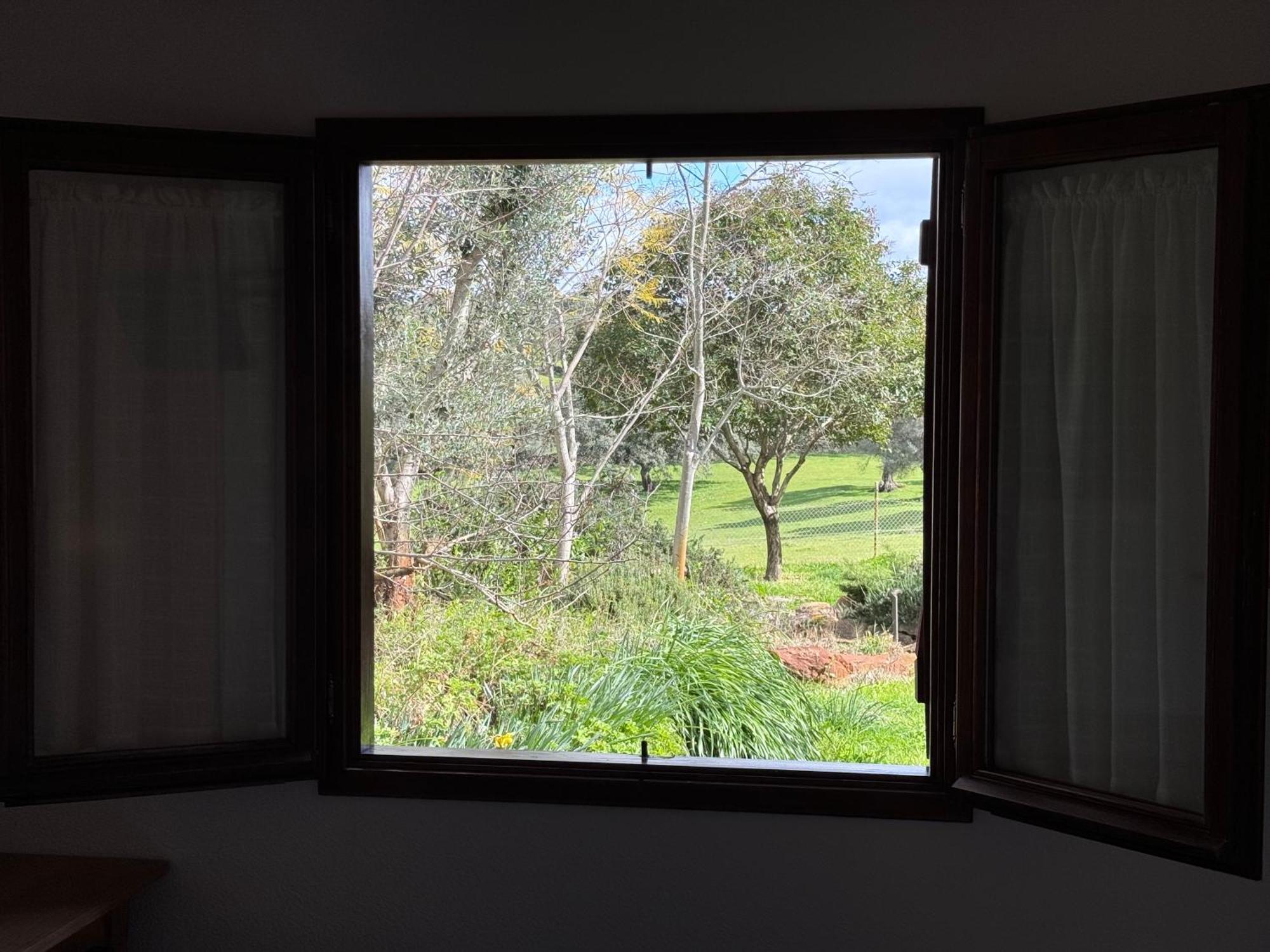 La Cerca Del Alcornoque Guest House Casas de Belvis Екстериор снимка