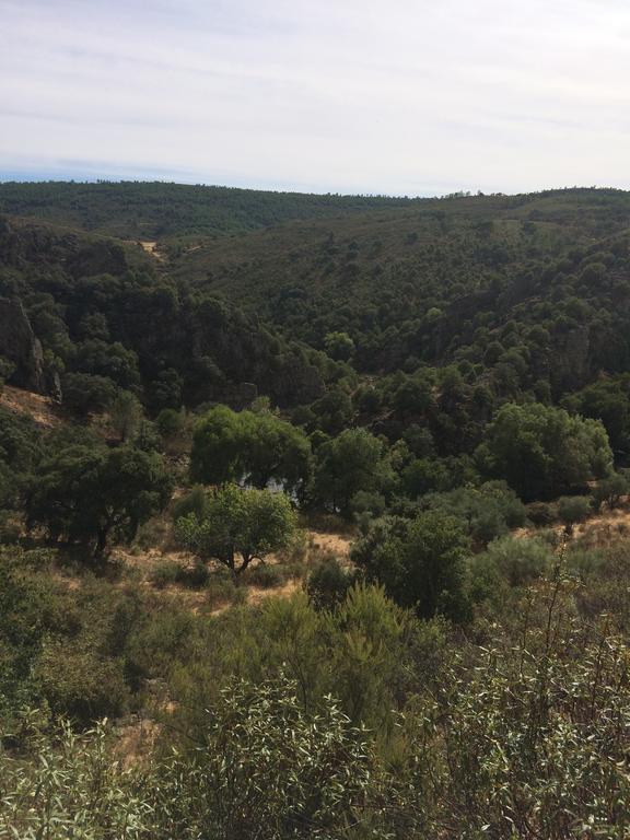 La Cerca Del Alcornoque Guest House Casas de Belvis Екстериор снимка