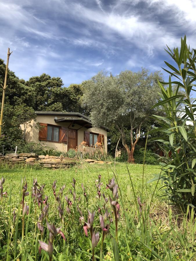 La Cerca Del Alcornoque Guest House Casas de Belvis Екстериор снимка